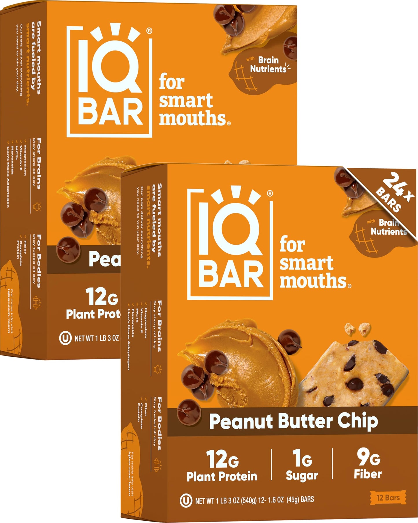 IQBAR Clean Plant Protein Bars - Chocolate Lovers Variety - 12 Count - Keto, Vegan, High Fiber, Gluten and Dairy Free, Low Sugar Snack - Brain and Body Nutrients for Focus, Energy, Meal Replacement