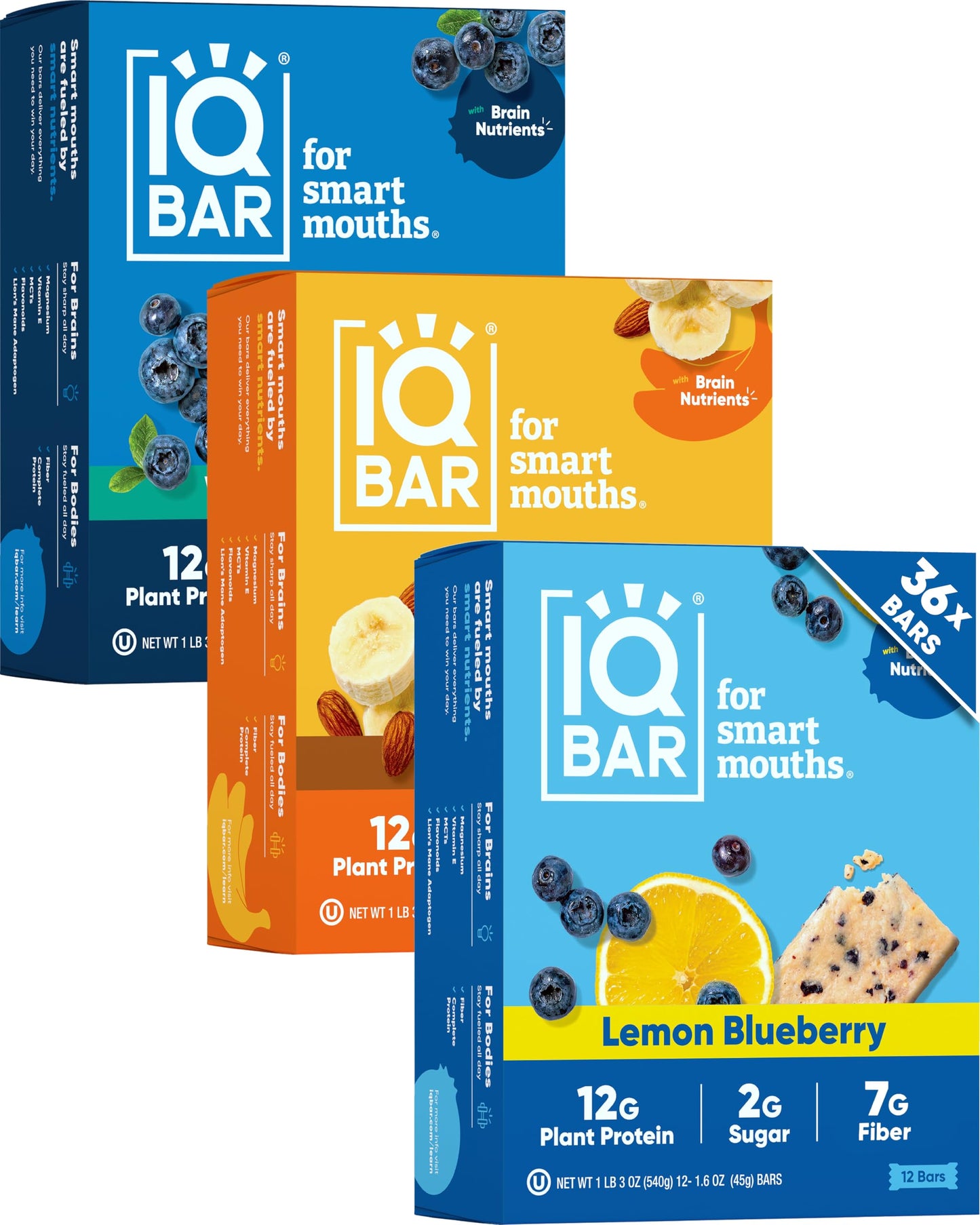IQBAR Clean Plant Protein Bars - Chocolate Lovers Variety - 12 Count - Keto, Vegan, High Fiber, Gluten and Dairy Free, Low Sugar Snack - Brain and Body Nutrients for Focus, Energy, Meal Replacement