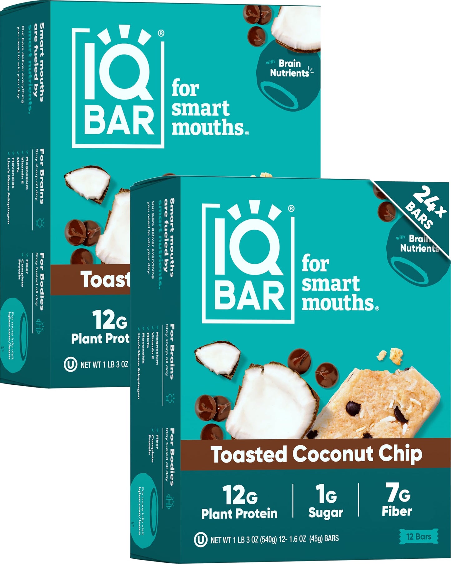 IQBAR Clean Plant Protein Bars - Chocolate Lovers Variety - 12 Count - Keto, Vegan, High Fiber, Gluten and Dairy Free, Low Sugar Snack - Brain and Body Nutrients for Focus, Energy, Meal Replacement
