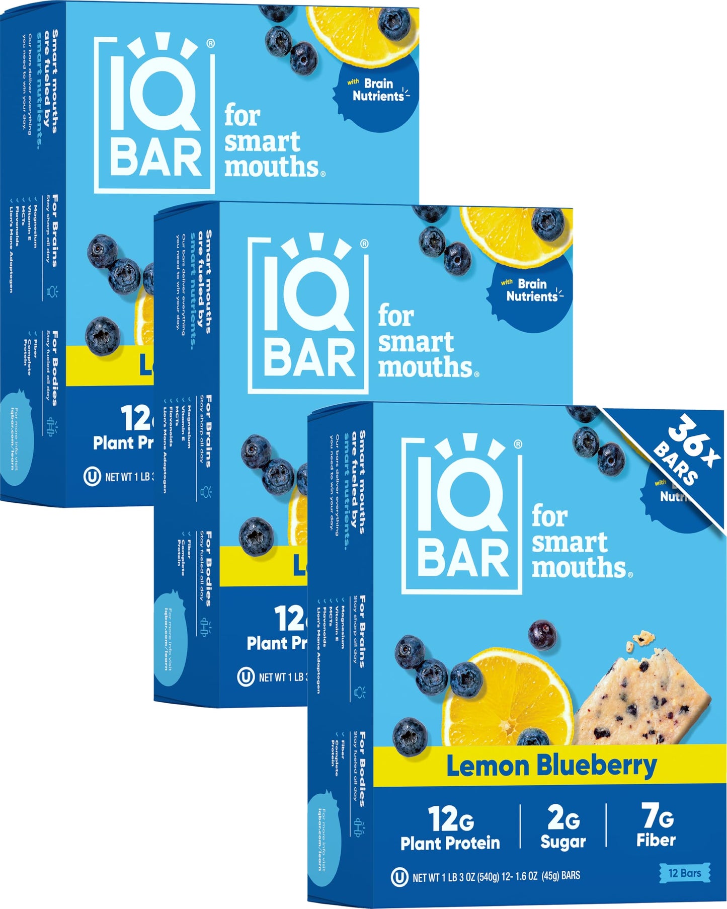 IQBAR Clean Plant Protein Bars - Chocolate Lovers Variety - 12 Count - Keto, Vegan, High Fiber, Gluten and Dairy Free, Low Sugar Snack - Brain and Body Nutrients for Focus, Energy, Meal Replacement