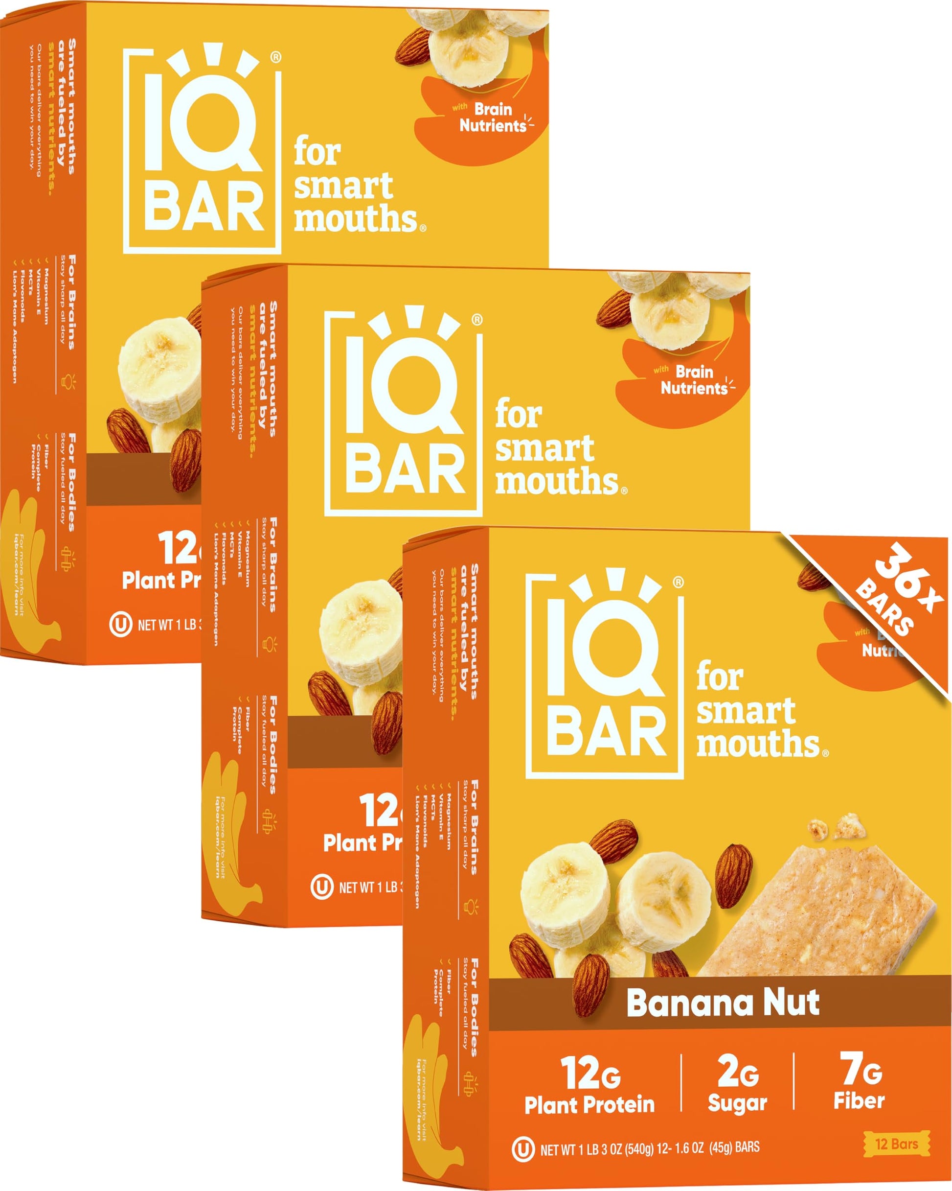 IQBAR Clean Plant Protein Bars - Chocolate Lovers Variety - 12 Count - Keto, Vegan, High Fiber, Gluten and Dairy Free, Low Sugar Snack - Brain and Body Nutrients for Focus, Energy, Meal Replacement