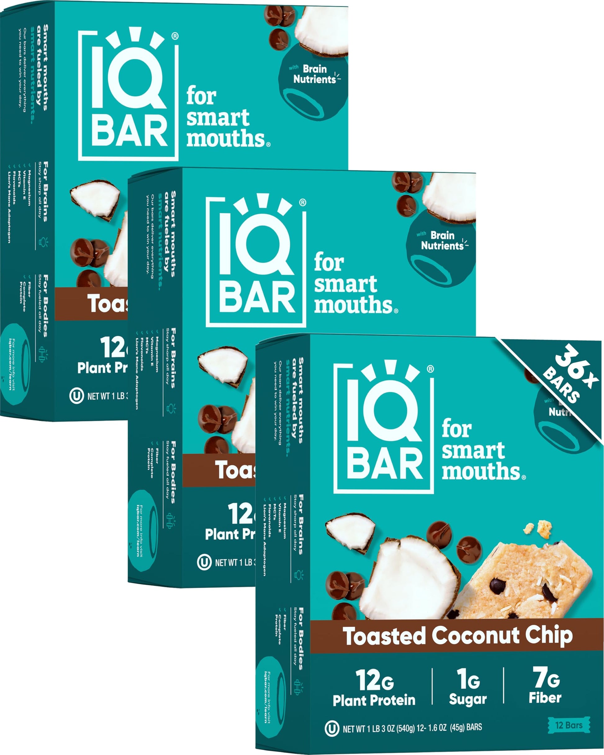 IQBAR Clean Plant Protein Bars - Chocolate Lovers Variety - 12 Count - Keto, Vegan, High Fiber, Gluten and Dairy Free, Low Sugar Snack - Brain and Body Nutrients for Focus, Energy, Meal Replacement