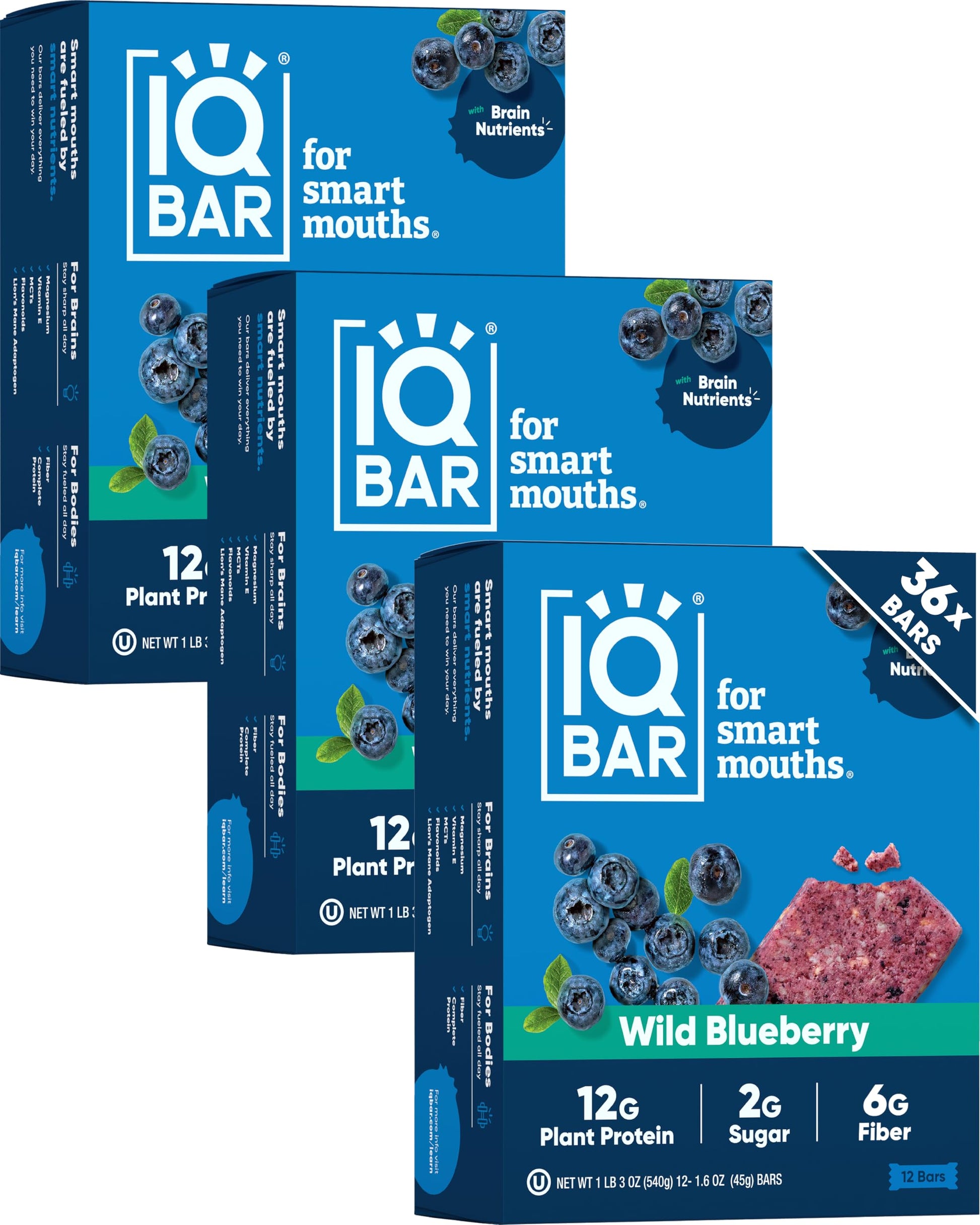 IQBAR Clean Plant Protein Bars - Chocolate Lovers Variety - 12 Count - Keto, Vegan, High Fiber, Gluten and Dairy Free, Low Sugar Snack - Brain and Body Nutrients for Focus, Energy, Meal Replacement