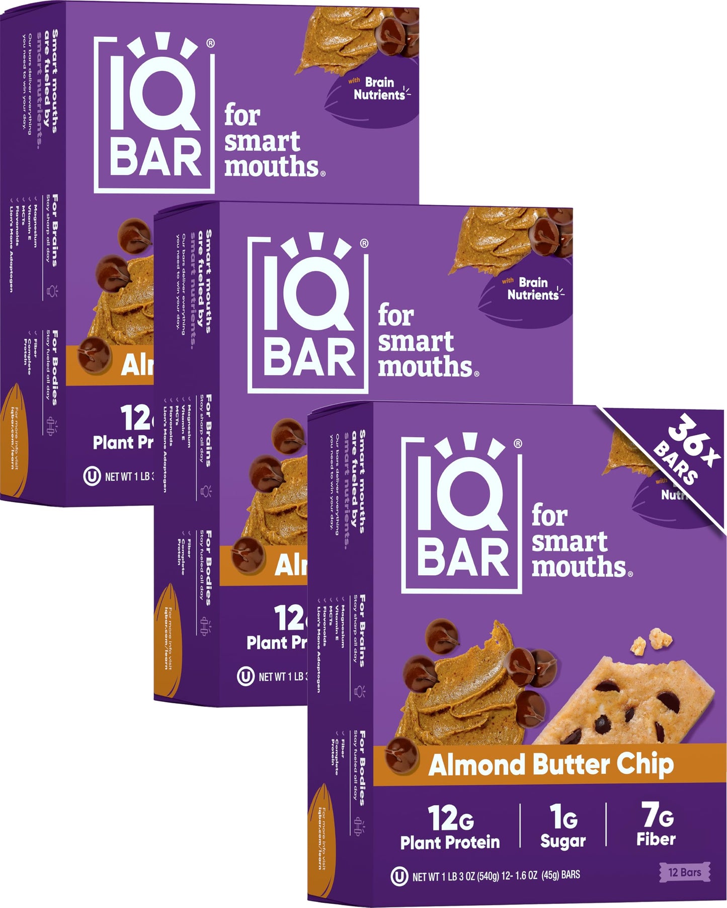 IQBAR Clean Plant Protein Bars - Chocolate Lovers Variety - 12 Count - Keto, Vegan, High Fiber, Gluten and Dairy Free, Low Sugar Snack - Brain and Body Nutrients for Focus, Energy, Meal Replacement